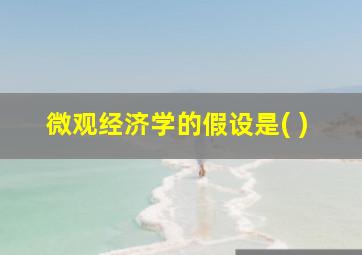 微观经济学的假设是( )